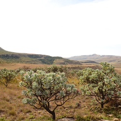 2015-05 South Africa/Drakensburg/DSC_0136.JPG